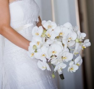Tendencias en ramos de novia hechos con orquídeas - El Laurel Catering